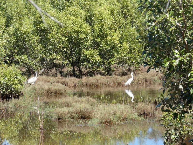 Photo - Lot 7 Coast Road, Baffle Creek QLD 4674 - Image 23