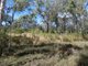 Photo - Lot 7 Coast Road, Baffle Creek QLD 4674 - Image 24