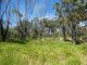 Photo - Lot 7 Coast Road, Baffle Creek QLD 4674 - Image 26