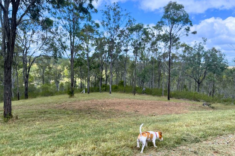 Photo - Lot 7 Emerson Road, Taromeo QLD 4314 - Image 10