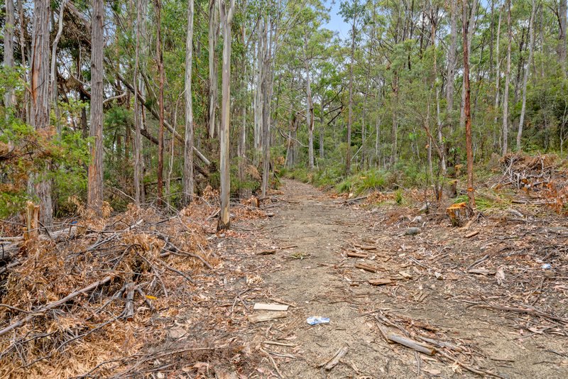 Photo - Lot 7 Jefferys Track, Lachlan TAS 7140 - Image 4