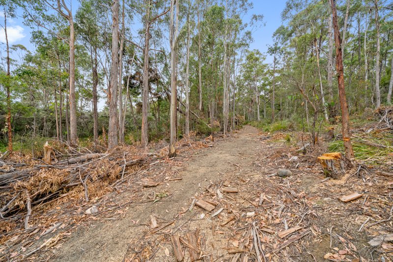 Photo - Lot 7 Jefferys Track, Lachlan TAS 7140 - Image 7