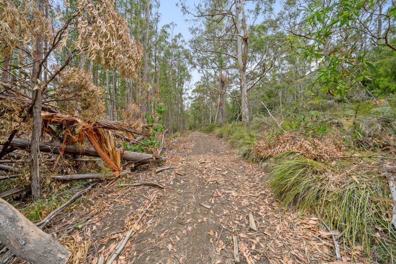 Photo - Lot 7 Jefferys Track, Lachlan TAS 7140 - Image 8