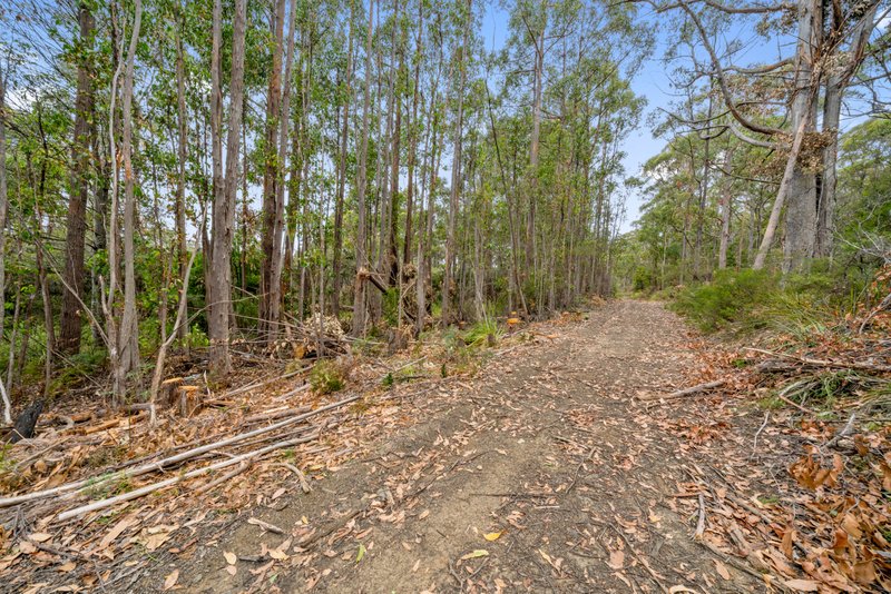 Photo - Lot 7 Jefferys Track, Lachlan TAS 7140 - Image 9