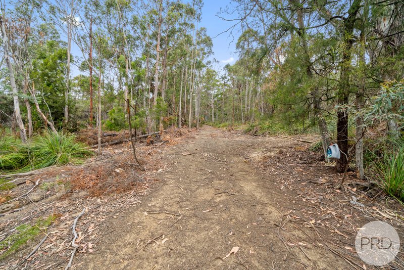 Photo - Lot 7 Jefferys Track, Lachlan TAS 7140 - Image 15