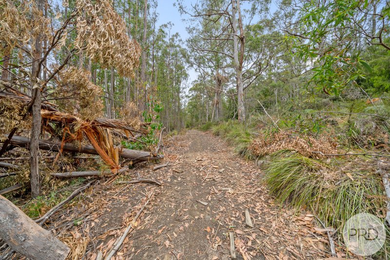 Photo - Lot 7 Jefferys Track, Lachlan TAS 7140 - Image 17