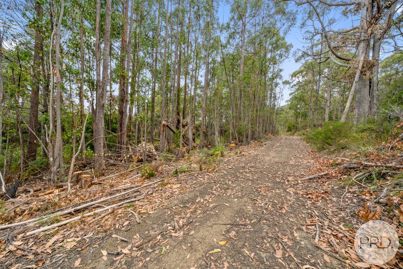 Photo - Lot 7 Jefferys Track, Lachlan TAS 7140 - Image 19