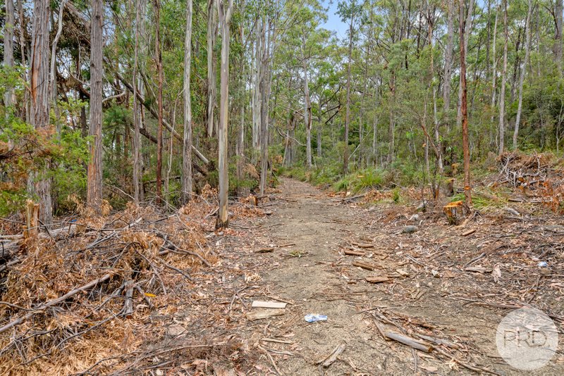 Photo - Lot 7 Jefferys Track, Lachlan TAS 7140 - Image 20