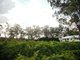 Photo - Lot 7 Kelman Estate , Pokolbin NSW 2320 - Image 17