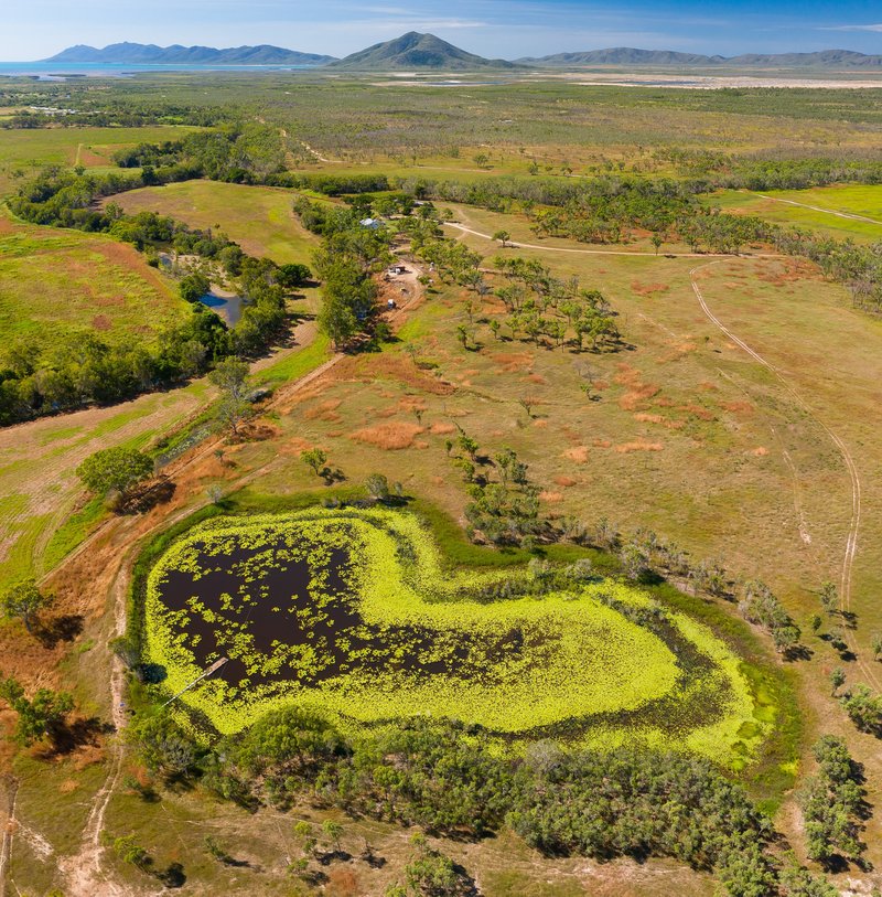 Photo - Lot 7 Longford Creek, Bruce Highway, Bowen QLD 4805 - Image 2