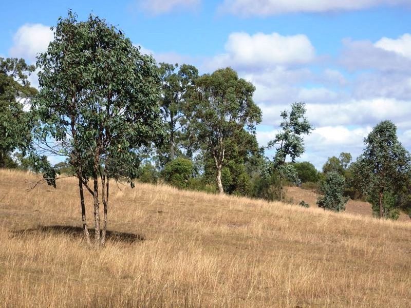 Photo - Lot 7 Old Esk Road, Blackbutt QLD 4306 - Image 2