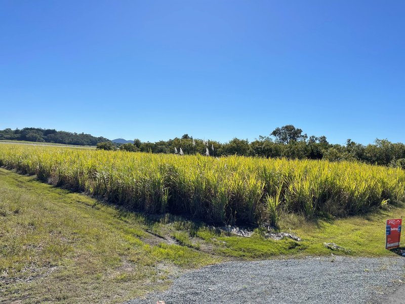 Photo - Lot 7 Pioneer Street, Glenella QLD 4740 - Image 2