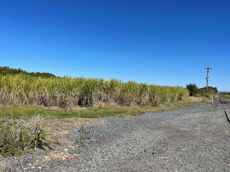 Photo - Lot 7 Pioneer Street, Glenella QLD 4740 - Image 3