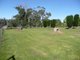 Photo - Lot 7 Ridge Street, Hillwood TAS 7252 - Image 3