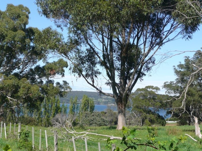 Photo - Lot 7 Ridge Street, Hillwood TAS 7252 - Image 4