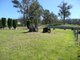 Photo - Lot 7 Ridge Street, Hillwood TAS 7252 - Image 5