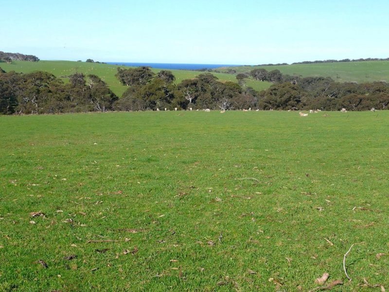 Photo - Lot 70 Waitpinga Road, Waitpinga SA 5211 - Image