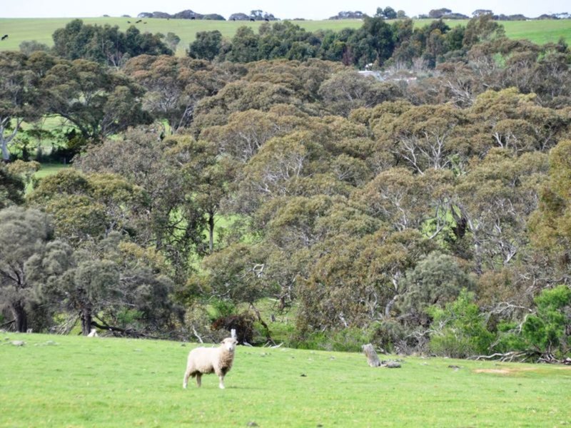 Photo - Lot 70 Waitpinga Road, Waitpinga SA 5211 - Image 6