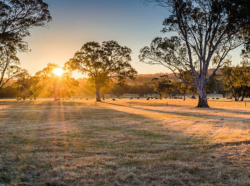 Lot 704 Glover Street, Kersbrook SA 5231