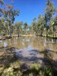 Photo - Lot 71 Redgum Road, Ducklo QLD 4405 - Image 5