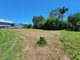 Photo - Lot 7/11 Shute Harbour Road, Cannonvale QLD 4802 - Image 7