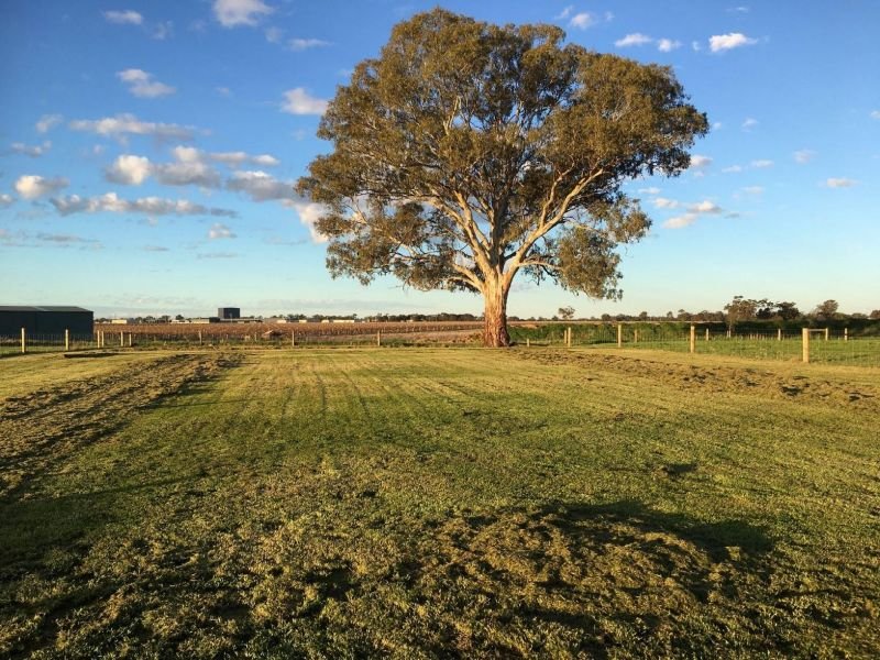 Lot 71/49 Cabernet Dr , Moama NSW 2731