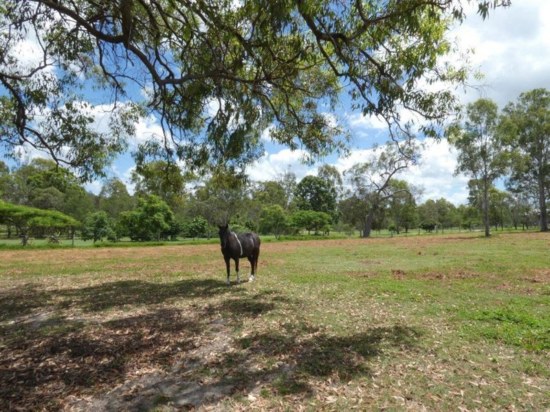 Photo - Lot 72 Messmate Drive, Miriam Vale QLD 4677 - Image 4