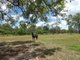 Photo - Lot 72 Messmate Drive, Miriam Vale QLD 4677 - Image 4