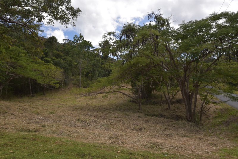 Photo - Lot 72 Paluma Road, Cannonvale QLD 4802 - Image 5