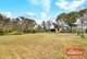 Photo - Lot 72 Paxton Street, Willaston SA 5118 - Image 20