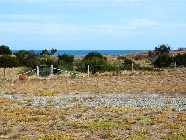 Photo - Lot 729 Outlook Road, Black Point SA 5571 - Image 7