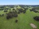 Photo - Lot 73 Cundinup-Kirup Road, Nannup WA 6275 - Image 1