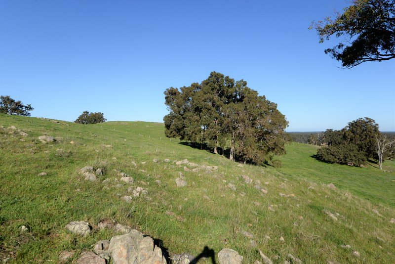 Photo - Lot 73 Cundinup-Kirup Road, Nannup WA 6275 - Image 22