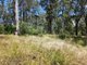 Photo - Lot 73 Gambubal Road, Mount Colliery QLD 4370 - Image 2