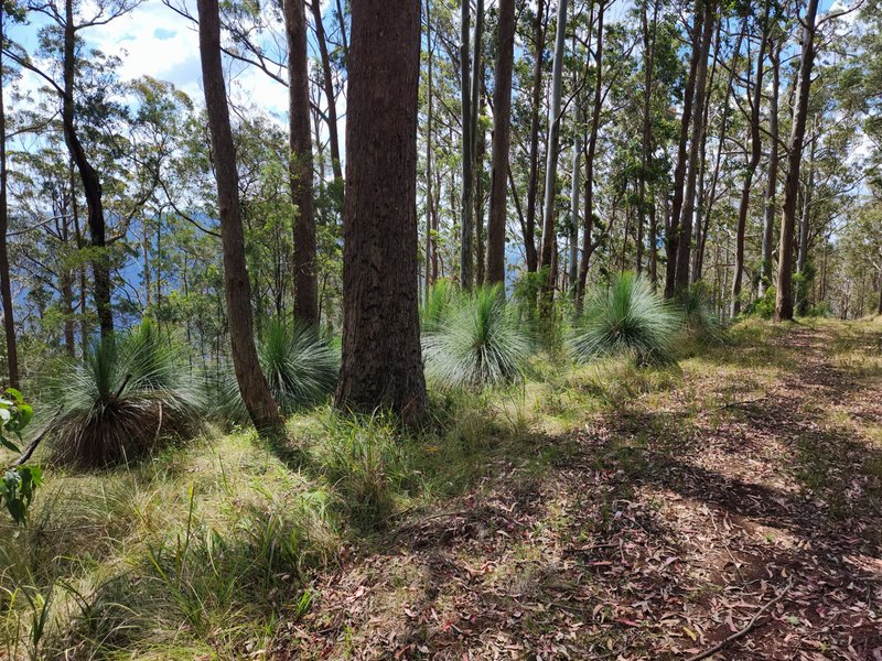 Photo - Lot 73 Gambubal Road, Mount Colliery QLD 4370 - Image 7