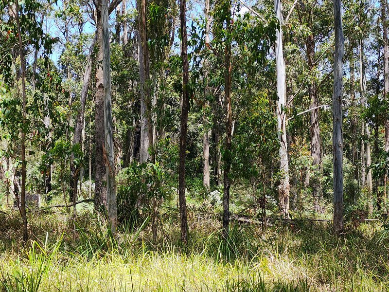 Photo - Lot 73 Gambubal Road, Mount Colliery QLD 4370 - Image 8