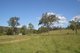 Photo - Lot 73 Linville Road, Linville QLD 4314 - Image 6