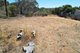 Photo - Lot 74 Perseverance Court, Younghusband SA 5238 - Image 3