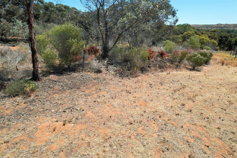 Photo - Lot 74 Perseverance Court, Younghusband SA 5238 - Image 9