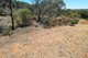 Photo - Lot 74 Perseverance Court, Younghusband SA 5238 - Image 9