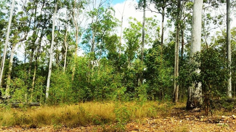 Lot 741 Neerdie Road, Glenwood QLD 4570