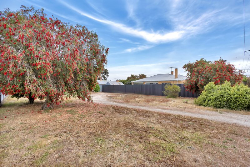 Photo - Lot 742 Krieg Street, Nuriootpa SA 5355 - Image 2