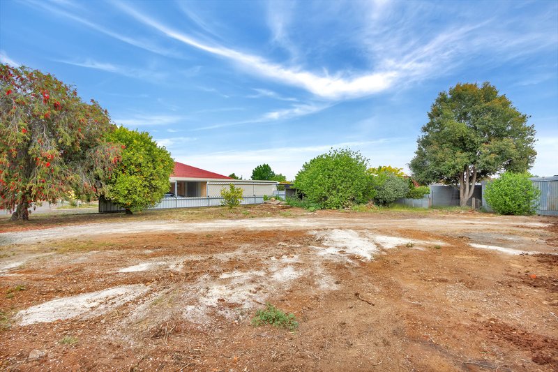 Photo - Lot 742 Krieg Street, Nuriootpa SA 5355 - Image 3