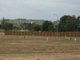 Photo - Lot 75 Coolibah Place, Bowen QLD 4805 - Image 1