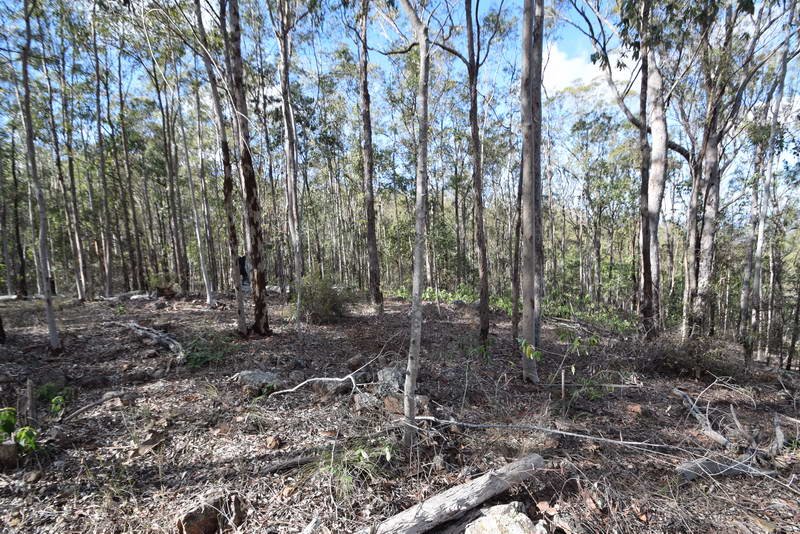 Photo - Lot 76 Coppermine Road, Palmtree QLD 4352 - Image 6