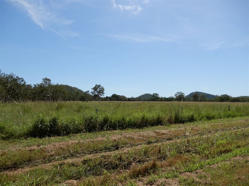 Photo - Lot 78 Nicol Road, The Leap QLD 4740 - Image 5