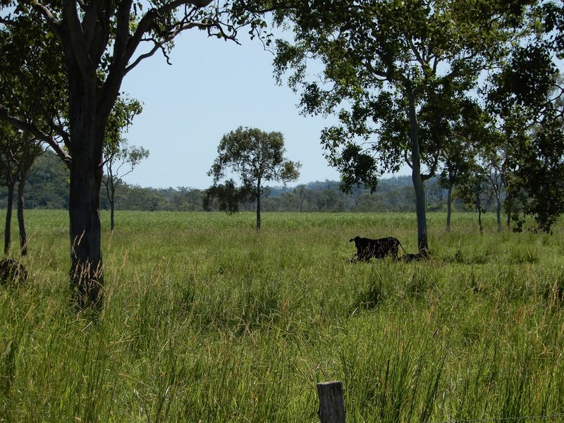 Photo - Lot 78 Nicol Road, The Leap QLD 4740 - Image 6