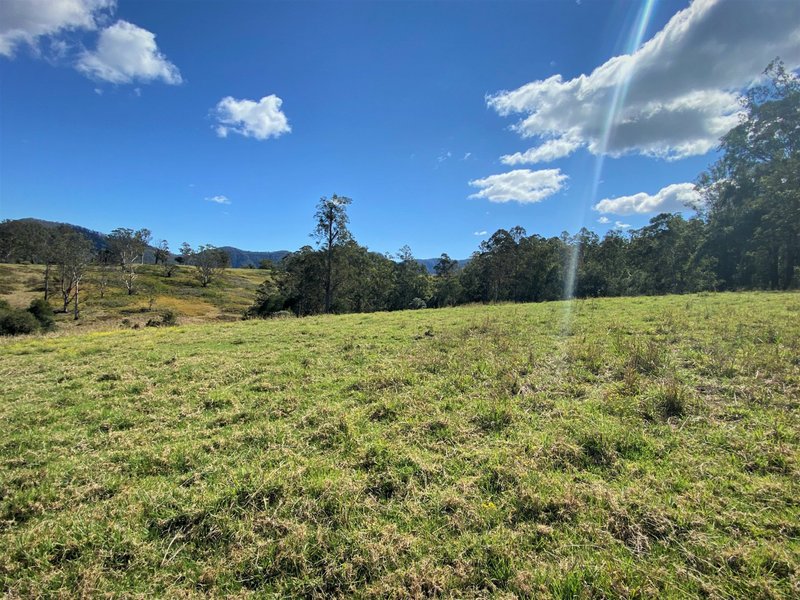 Photo - Lot 8 Alfred Road, Killabakh NSW 2429 - Image 3