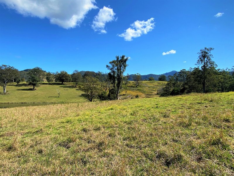 Photo - Lot 8 Alfred Road, Killabakh NSW 2429 - Image 7