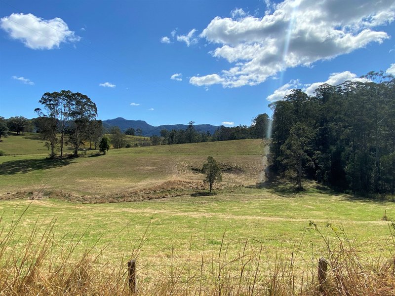 Photo - Lot 8 Alfred Road, Killabakh NSW 2429 - Image 8